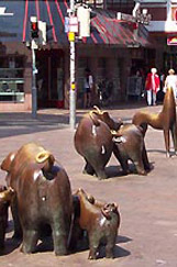 bremen 12